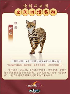 三国专属剧情天龙八部私服